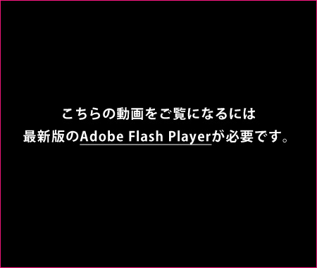 ̓ɂȂɂ͍ŐVłAdobe Flash PlayerKvłB