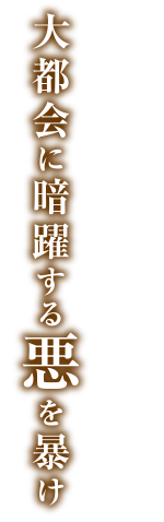 大都会に暗躍する悪を暴け