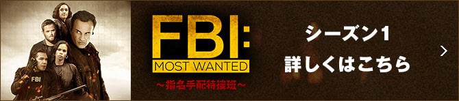 FBI:Most Wanted～ 指名手配特捜班～ SEASON1 詳しくはこちら