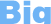 Big/ビッグ