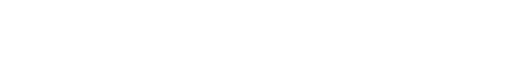 SECTION31
