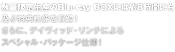 ツイン・ピークス:リミテッド・イベント・シリーズ』DVD公式サイト