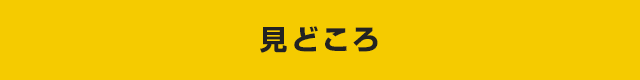 見どころ